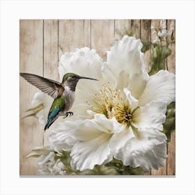 Hummingbird Canvas Print