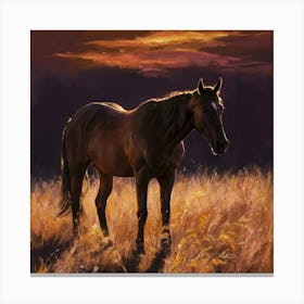 Sunset Horse 80 Canvas Print