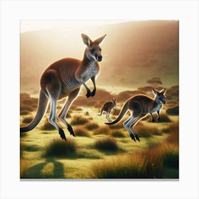 Kangaroo Canvas Print