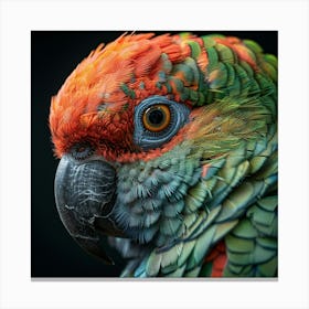 Portrait Of A Parrot 5 Canvas Print