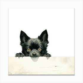 Schipperke 2 Canvas Print