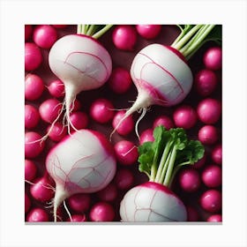 Radishes 5 Canvas Print