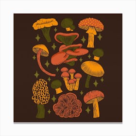 Texas Mushrooms   Dark Multicolor Square Canvas Print