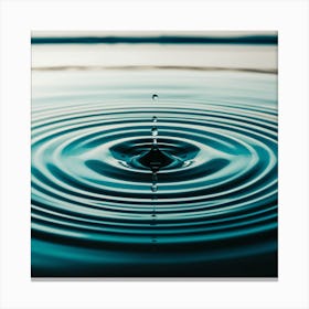 Water Drop 1 Canvas Print