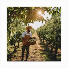 Peach Farmer In The Orchard Canvas Print