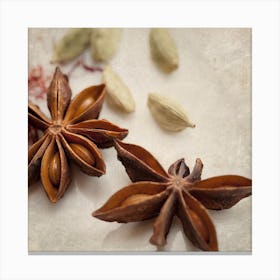 Star Anise Canvas Print