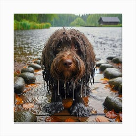 Wet Dog In The Rain Canvas Print