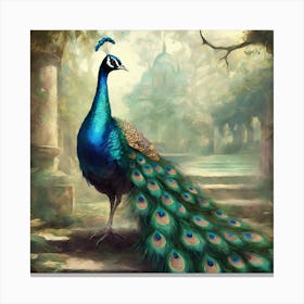 Peacock Art Print Canvas Print