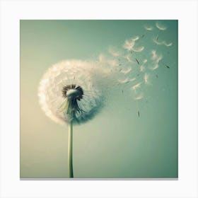 Dandelion 4 Canvas Print