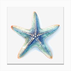 Starfish 2 Canvas Print