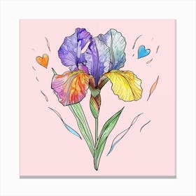 Rainbow Iris Canvas Print