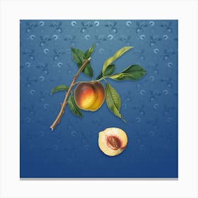 Vintage Peach Botanical on Bahama Blue Pattern n.2543 Canvas Print