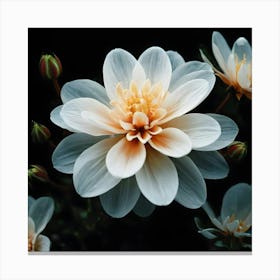 White Dahlia Flower 2 Canvas Print