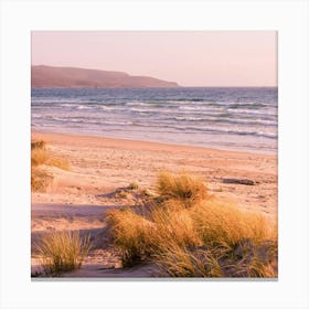 Sand Dunes On The Beach Canvas Print