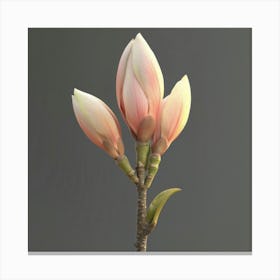 Magnolia Blossom Canvas Print