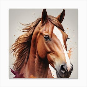 Horse Face Canvas Print