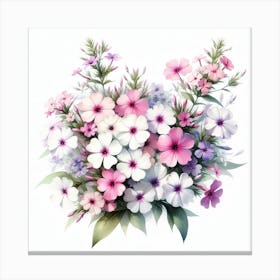 Flowers of Phlox 3 Canvas Print