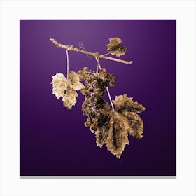 Gold Botanical Grape Colorino on Royal Purple n.2799 Canvas Print