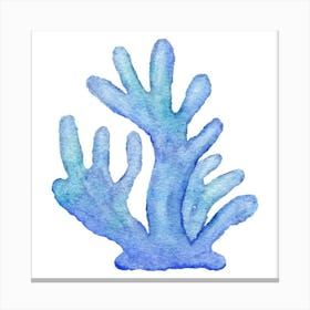 Blue Coral Canvas Print