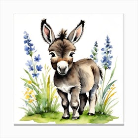 Baby donkey watercolour /2 Canvas Print