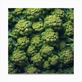 Close Up Of Green Broccoli 5 Canvas Print