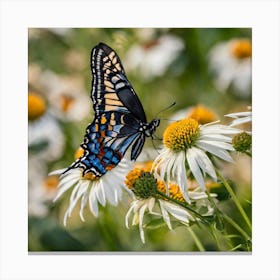 Swallowtail Butterfly Canvas Print