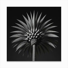 Palm Tree Canvas Print