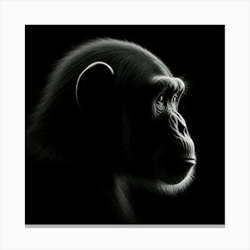 Chimpanzee Portrait 2 Canvas Print