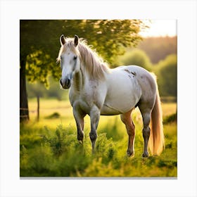 Grass Mane Head Graze Equestrian Pasture Elegant Sun Beauty Horse Standing Rural Green (4) Canvas Print