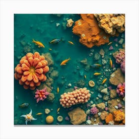 Coral Reef Underwater Canvas Print