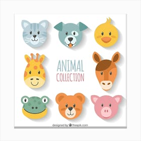 Animal Collection Canvas Print