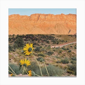 Desert Wildflower Canvas Print