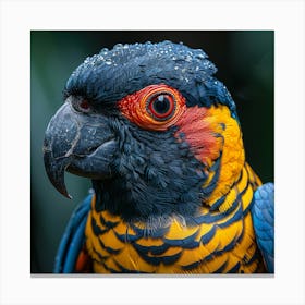 Parrot 27 Canvas Print