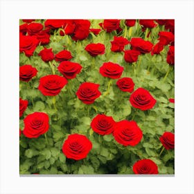 Red Roses 1 Canvas Print