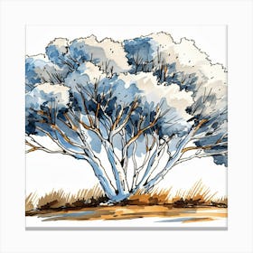 Eucalyptus Tree Canvas Print