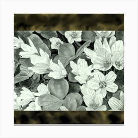 white flowers, leaves, in the bush Canvas Print