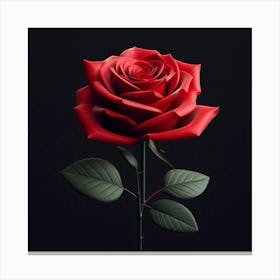 Red Rose On Black Background Canvas Print