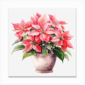 Poinsettia 10 Canvas Print