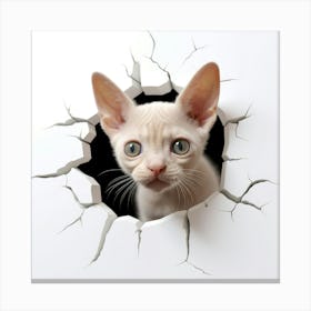 Cat Through A Hole Canvas Print