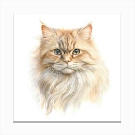 British Longhair Cat Portrait 1 Canvas Print