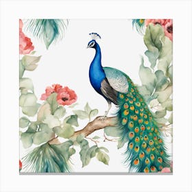 Peacock Bird Feathers Animal Canvas Print