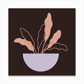 Plant In A Bowl Canvas Print