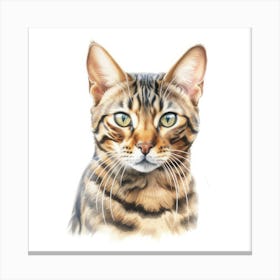 Bengal Rosetted Cat Portrait 2 Canvas Print