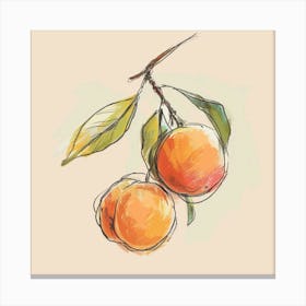 Peaches On A Branch Canvas Print