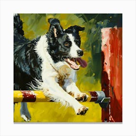 Border Collie Jumping Canvas Print