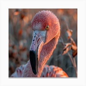 Pink Flamingo Canvas Print