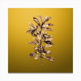 Gold Botanical Firetree Branch Plant on Mango Yellow n.0954 Canvas Print