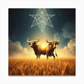 Bulls In The Field Canvas Print