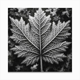Winter leaf 1 Canvas Print