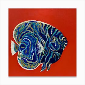 Blue Tang Canvas Print